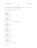 COMBINATION THERAPY OF ANTIBODIES AGAINST HUMAN CSF-1R AND USES THEREOF diagram and image