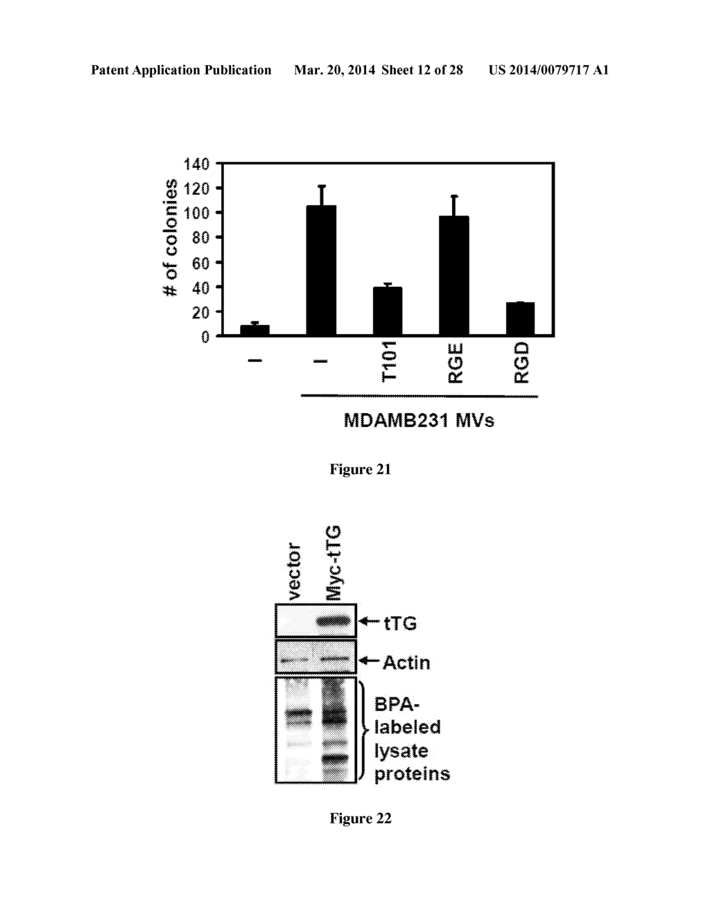 Compositions and Methods to Prevent Cell Transformation and Cancer     Metastasis - diagram, schematic, and image 13