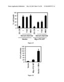 Compositions and Methods to Prevent Cell Transformation and Cancer     Metastasis diagram and image