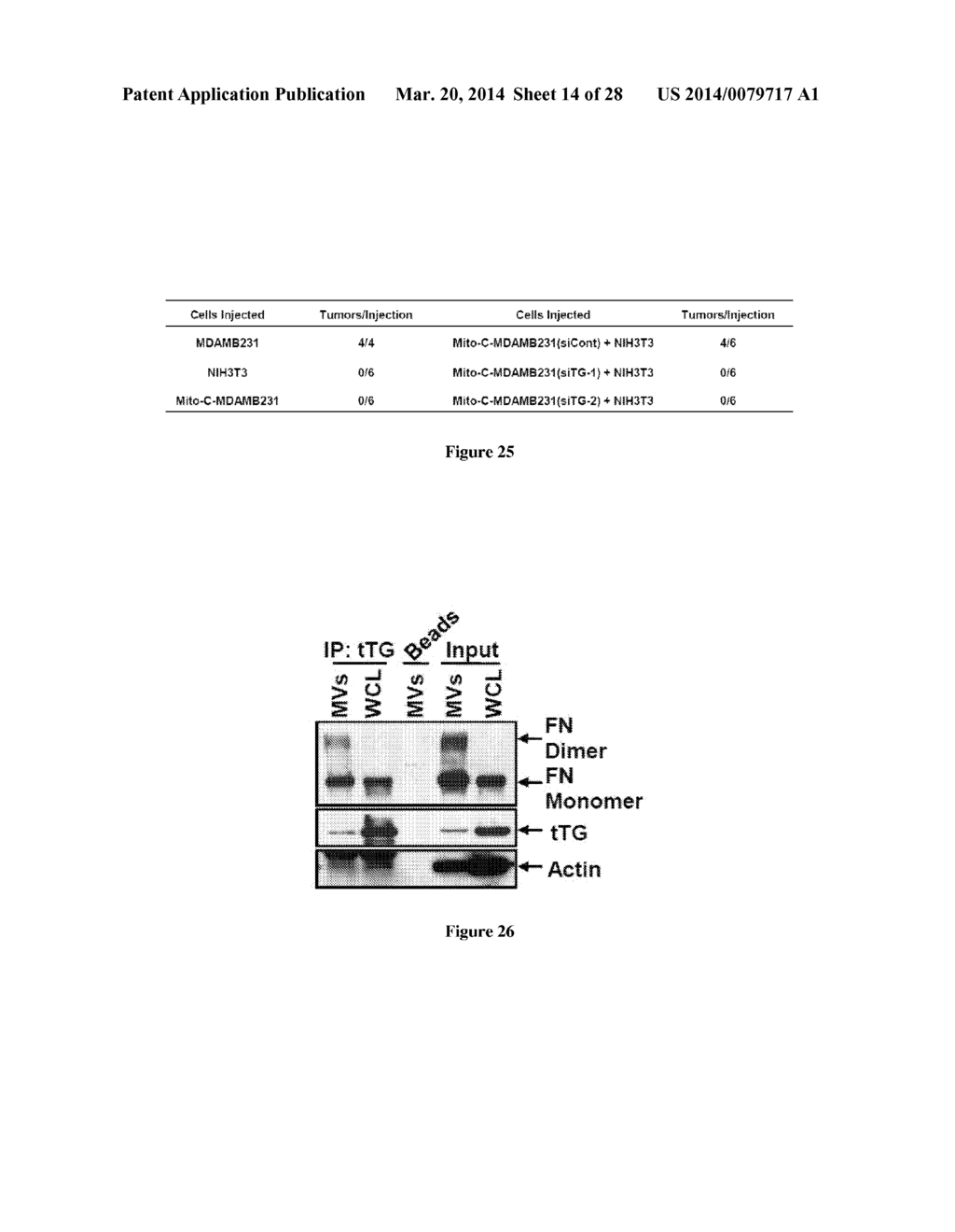 Compositions and Methods to Prevent Cell Transformation and Cancer     Metastasis - diagram, schematic, and image 15