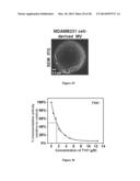 Compositions and Methods to Prevent Cell Transformation and Cancer     Metastasis diagram and image