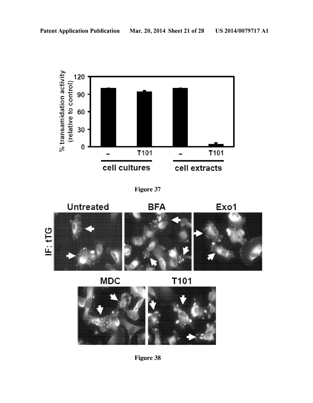 Compositions and Methods to Prevent Cell Transformation and Cancer     Metastasis - diagram, schematic, and image 22