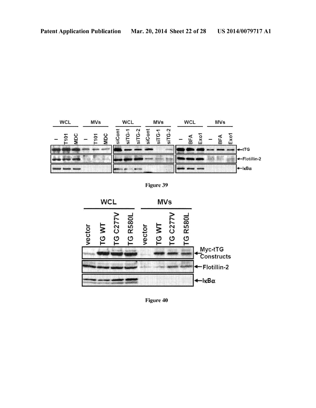 Compositions and Methods to Prevent Cell Transformation and Cancer     Metastasis - diagram, schematic, and image 23