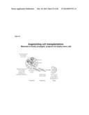 Injectable, Pore-Forming Hydrogels for Materials-Based Cell Therapies diagram and image