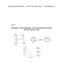 Injectable, Pore-Forming Hydrogels for Materials-Based Cell Therapies diagram and image