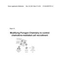 Injectable, Pore-Forming Hydrogels for Materials-Based Cell Therapies diagram and image