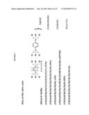 POROUS NANOPARTICLE-SUPPORTED LIPID BILAYERS (PROTOCELLS) FOR TARGETED     DELIVERY AND METHODS OF USING SAME diagram and image