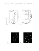 POROUS NANOPARTICLE-SUPPORTED LIPID BILAYERS (PROTOCELLS) FOR TARGETED     DELIVERY AND METHODS OF USING SAME diagram and image