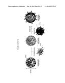 POROUS NANOPARTICLE-SUPPORTED LIPID BILAYERS (PROTOCELLS) FOR TARGETED     DELIVERY AND METHODS OF USING SAME diagram and image