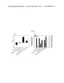 POROUS NANOPARTICLE-SUPPORTED LIPID BILAYERS (PROTOCELLS) FOR TARGETED     DELIVERY AND METHODS OF USING SAME diagram and image