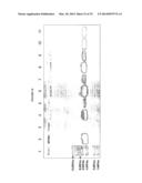 POROUS NANOPARTICLE-SUPPORTED LIPID BILAYERS (PROTOCELLS) FOR TARGETED     DELIVERY AND METHODS OF USING SAME diagram and image