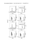 POROUS NANOPARTICLE-SUPPORTED LIPID BILAYERS (PROTOCELLS) FOR TARGETED     DELIVERY AND METHODS OF USING SAME diagram and image