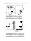 POROUS NANOPARTICLE-SUPPORTED LIPID BILAYERS (PROTOCELLS) FOR TARGETED     DELIVERY AND METHODS OF USING SAME diagram and image