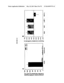 POROUS NANOPARTICLE-SUPPORTED LIPID BILAYERS (PROTOCELLS) FOR TARGETED     DELIVERY AND METHODS OF USING SAME diagram and image