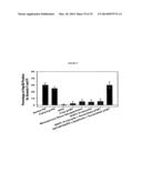 POROUS NANOPARTICLE-SUPPORTED LIPID BILAYERS (PROTOCELLS) FOR TARGETED     DELIVERY AND METHODS OF USING SAME diagram and image