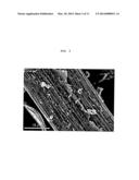 MANUFACTURING METHOD FOR CATALYST ELECTRODE, CATALYST ELECTRODE     MANUFACTURED BY MEANS OF METHOD, AND BATTERY COMPRISING SAME diagram and image