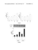 GRAFT OR TISSUE RINSING SOLUTION AND METHOD FOR RINSING SAID GRAFT OR     TISSUE BEFORE REVASCULARIZATION diagram and image