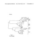 PRIMATE T-LYMPHOTROPIC VIRUSES diagram and image