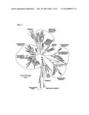 PRIMATE T-LYMPHOTROPIC VIRUSES diagram and image