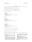 PRIMATE T-LYMPHOTROPIC VIRUSES diagram and image