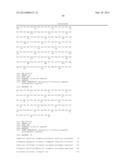 PRIMATE T-LYMPHOTROPIC VIRUSES diagram and image