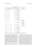 Polymorphisms in the FCGR2B Promoter and Uses Thereof diagram and image