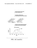 QUANTIFICATION OF NUCLEIC ACIDS AND PROTEINS USING OLIGONUCLEOTIDE MASS     TAGS diagram and image