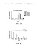 QUANTIFICATION OF NUCLEIC ACIDS AND PROTEINS USING OLIGONUCLEOTIDE MASS     TAGS diagram and image