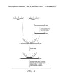 QUANTIFICATION OF NUCLEIC ACIDS AND PROTEINS USING OLIGONUCLEOTIDE MASS     TAGS diagram and image