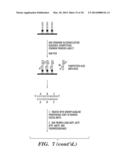 QUANTIFICATION OF NUCLEIC ACIDS AND PROTEINS USING OLIGONUCLEOTIDE MASS     TAGS diagram and image