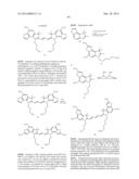 HETEROARYLCYANINE DYES diagram and image