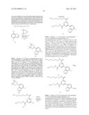 HETEROARYLCYANINE DYES diagram and image