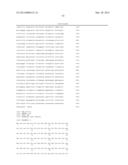 COMPOSITIONS AND METHODS FOR THE DIAGNOSIS AND TREATMENT OF TUMOR diagram and image