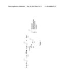 PHOSPHATASE COUPLED KINASE ASSAY diagram and image