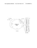 SPORULATION-DEFICIENT THERMOPHILIC MICROORGANISMS FOR THE PRODUCTION OF     ETHANOL diagram and image