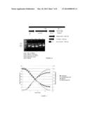 SPORULATION-DEFICIENT THERMOPHILIC MICROORGANISMS FOR THE PRODUCTION OF     ETHANOL diagram and image