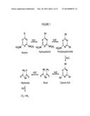 NANOSTRUCTURED CARBON BASED BIOCATALYST FOR REMEDIATION OF ENVIRONMENTAL     POLLUTANTS diagram and image