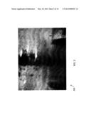 ULTRASOUND AND ACOUSTOPHORESIS FOR COLLECTION AND PROCESSING OF OLEAGINOUS     MICROORGANISMS diagram and image