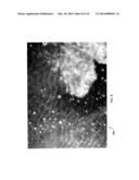 ULTRASOUND AND ACOUSTOPHORESIS FOR COLLECTION AND PROCESSING OF OLEAGINOUS     MICROORGANISMS diagram and image