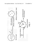 Nanobeads With Multiple Oriented Adapting Peptides For Binding To Capture     Molecules diagram and image