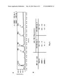 SUBSTRATE REDUCTION THERAPY diagram and image