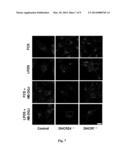 SUBSTRATE REDUCTION THERAPY diagram and image