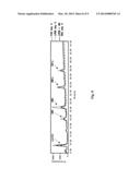 SUBSTRATE REDUCTION THERAPY diagram and image