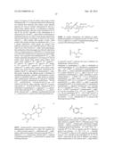 SUBSTRATE REDUCTION THERAPY diagram and image