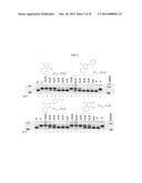 IRE-1alpha INHIBITORS diagram and image