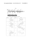 IRE-1alpha INHIBITORS diagram and image