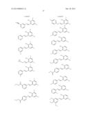 IRE-1alpha INHIBITORS diagram and image