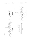HYALURONIC ACID-NUCLEIC ACID CONJUGATE AND COMPOSITION FOR NUCLEIC ACID     DELIVERY CONTAINING THE SAME diagram and image