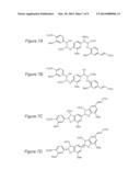 Cinnamic Acid-Based Oligomers and Uses Thereof diagram and image