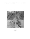 Process For Preparing Polymeric Fibers Comprising Thermotropic Liquid     Crystalline Polymer And Carbon Nanotubes diagram and image